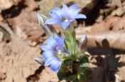 DSC_1566-20110424-512