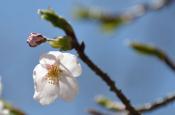 DSC_1593-20110424-512