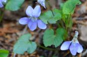 DSC_1606-20110424-512