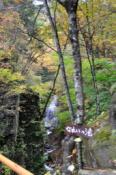 DSC_0372-20101031-512