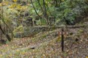 DSC_0379-20101031-512