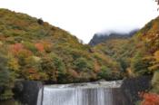 DSC_0386-20101031-512