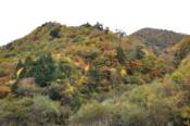 DSC_0387-20101031-512