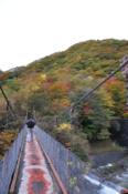 DSC_0389-20101031-512