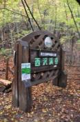 DSC_0391-20101031-512