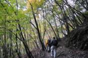 DSC_0392-20101031-512