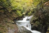 DSC_0400-20101031-512