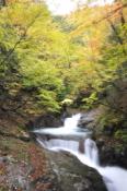 DSC_0401-20101031-512