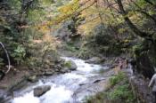 DSC_0405-20101031-512