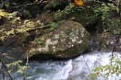DSC_0409-20101031-512