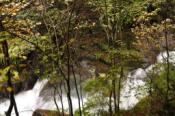 DSC_0410-20101031-512