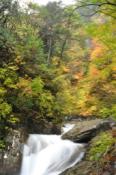DSC_0414-20101031-512