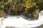DSC_0415-20101031-512
