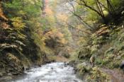 DSC_0418-20101031-512