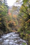 DSC_0419-20101031-512