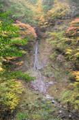 DSC_0420-20101031-512