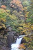 DSC_0430-20101031-512