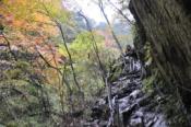 DSC_0434-20101031-512