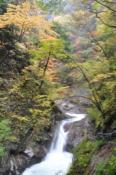 DSC_0437-20101031-512