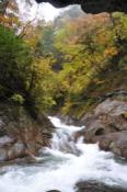 DSC_0445-20101031-512