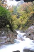 DSC_0448-20101031-512