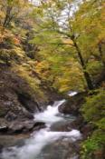 DSC_0454-20101031-512