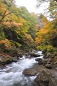 DSC_0459-20101031-512