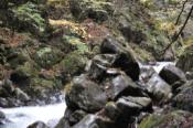 DSC_0463-20101031-512