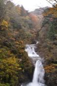 DSC_0473-20101031-512