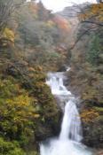 DSC_0474-20101031-512