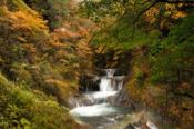 DSC_0484-20101031-512