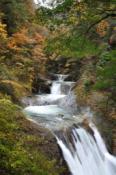 DSC_0486-20101031-512
