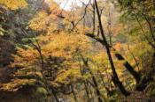 DSC_0489-20101031-512