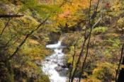 DSC_0491-20101031-512