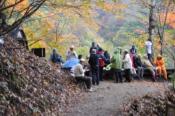 DSC_0500-20101031-512