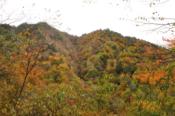 DSC_0502-20101031-512