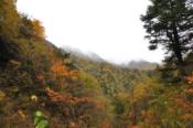 DSC_0505-20101031-512