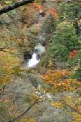 DSC_0507-20101031-512