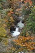 DSC_0509-20101031-512