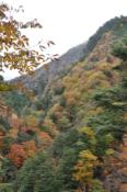 DSC_0512-20101031-512