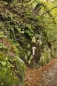 DSC_0515-20101031-512