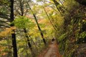 DSC_0524-20101031-512