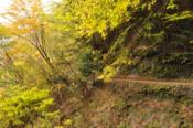 DSC_0533-20101031-512