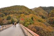 DSC_0537-20101031-512