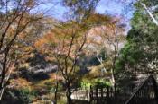 DSC_0786-20101204-512