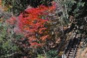 DSC_0813-20101204-512