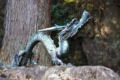 DSC_0899-20101204-512