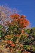 DSC_0916-20101204-512