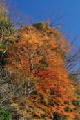 DSC_0918-20101204-512