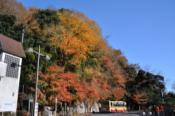 DSC_0923-20101204-512